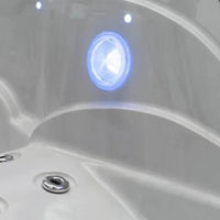 S550 Hot Tub - Platinum / Grey - SUMMER SALE