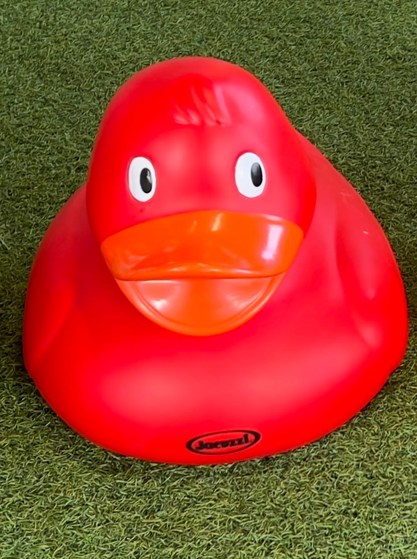 Giant Duck 32cm