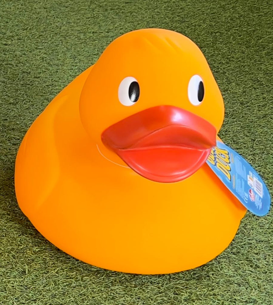 Giant Duck 32cm