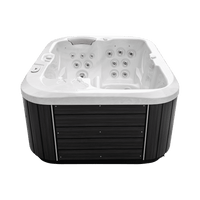 Jacuzzi S-300 hot tub – view 3