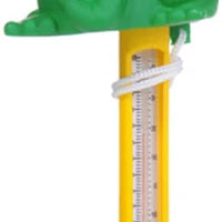 Novelty Spa Thermometer