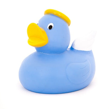 Blue Angel Duck