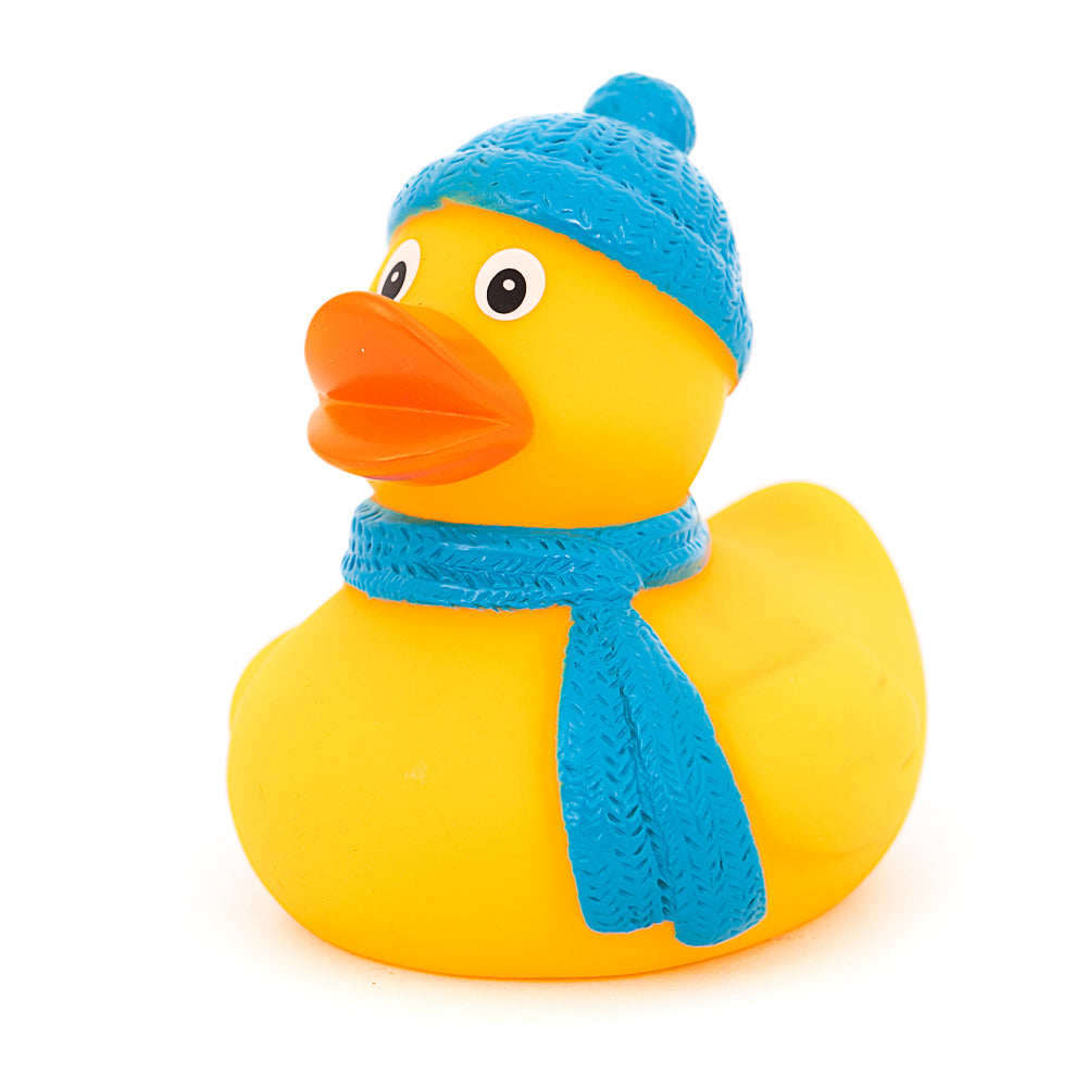 Winter Duck