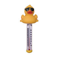 Novelty Spa Thermometer