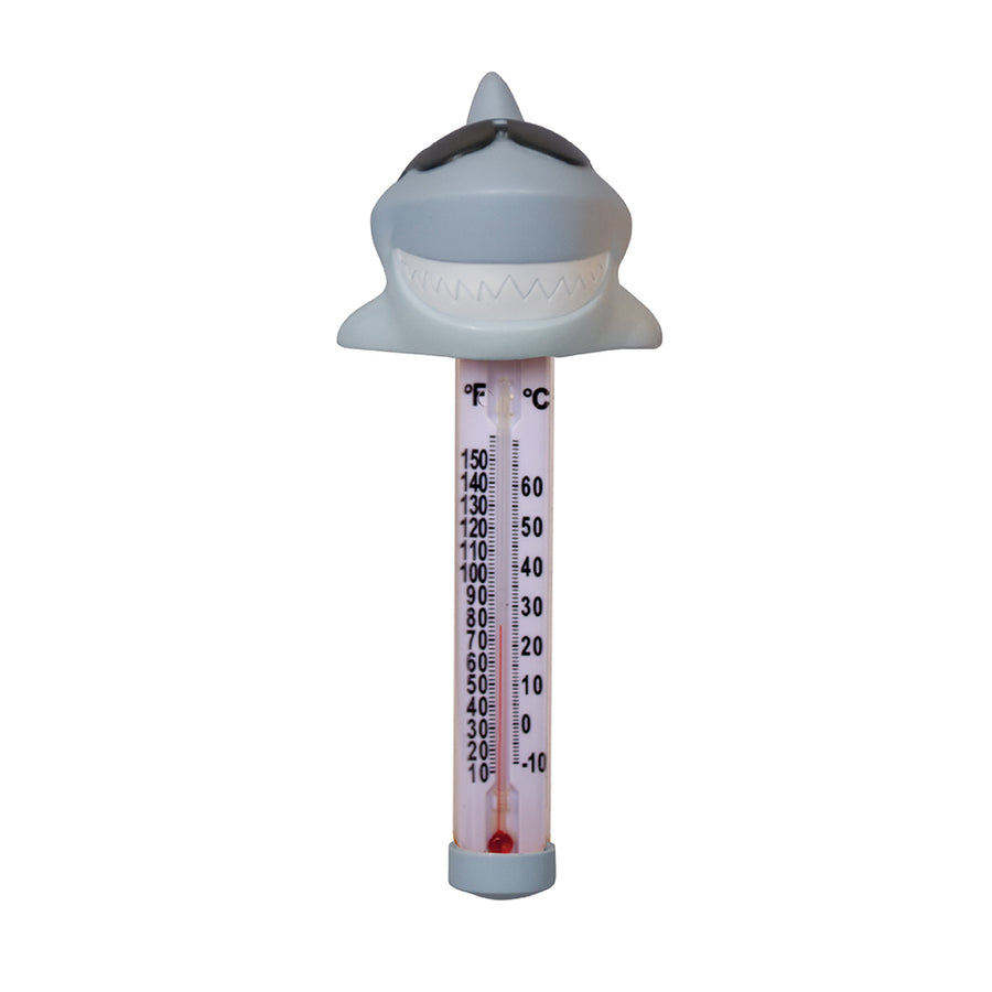 Novelty Spa Thermometer