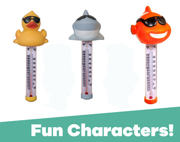 Novelty Spa Thermometer