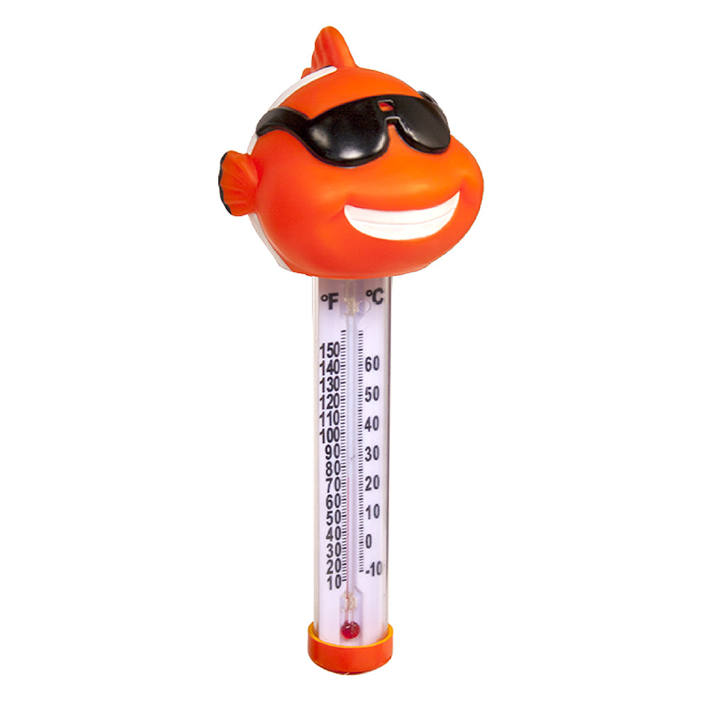 Novelty Spa Thermometer